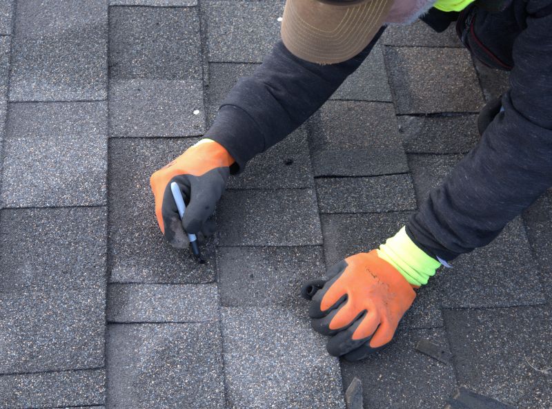 Asphalt Shingle Repair in Progress